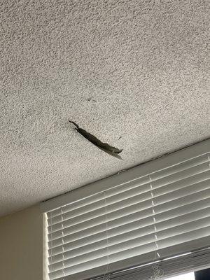 Roof leaking through to ceiling (still hasn't been fixed - been over 3 months & it soaked our carpet & Mildew started to grow.