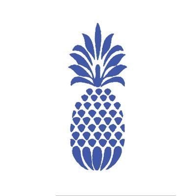 Look for the pineapple on our suite door # 208 in the Trinity Trail Center Plaza.