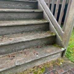 Stairs and brick pre cleaning