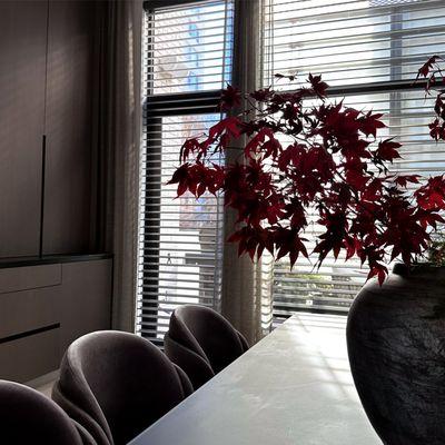 Silhouette window shading in a Philadelphia residential home