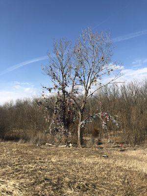 Sneaker tree_1