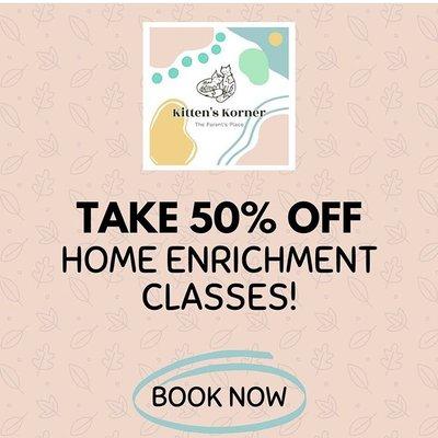 Take 50% off Safer at Home Enrichment Classes!