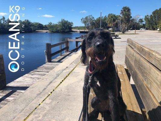 Kara On her Day Train Naples FL