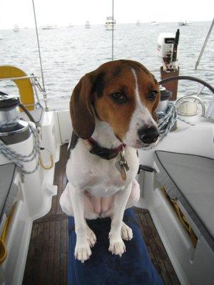 First Mate