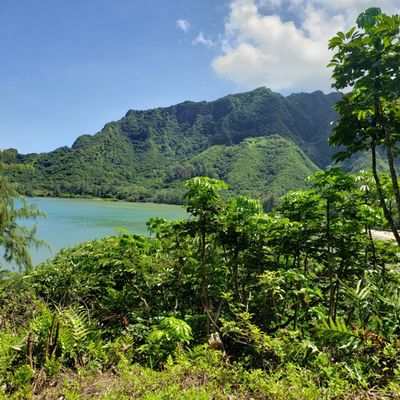 Hiking view (lots of mosquitoes here)