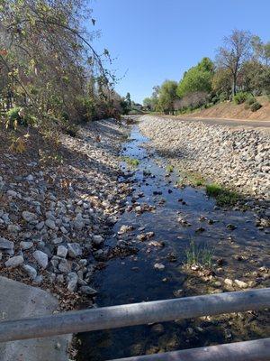 A little creek