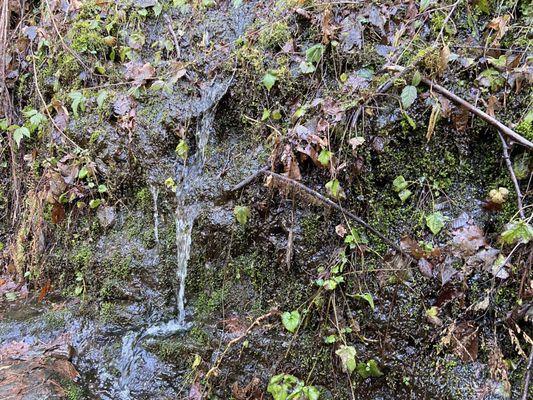 Waterfall on a moss wall