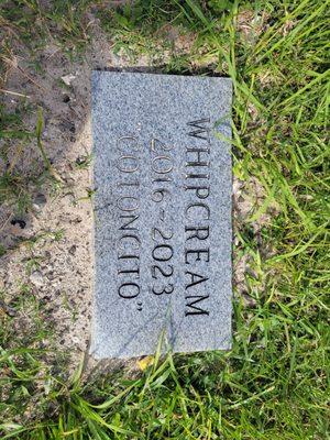 Whipcream's head stone