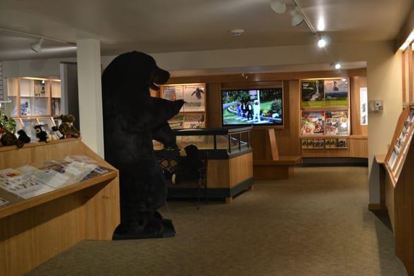 White Mountains Visitor Center