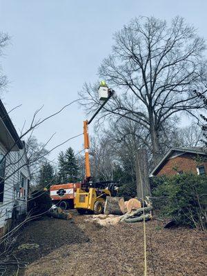 Woodlands Tree Service