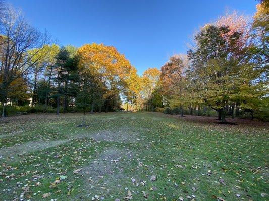 Dorothea Grant Park which abuts Cottage Street Inn