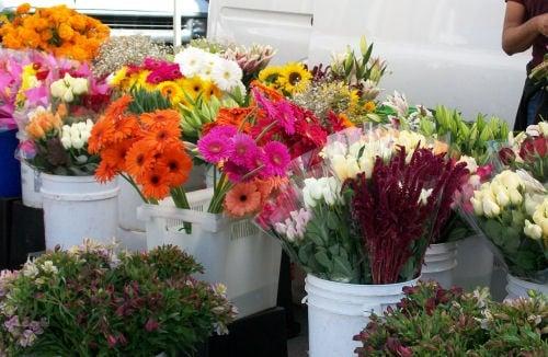 Downtown Hollister Farmers Market