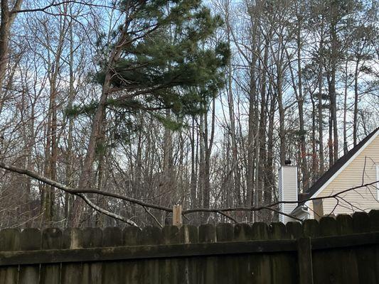 Same trimming on neighbors fence