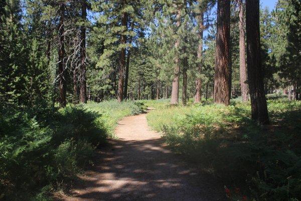 Mount Laguna