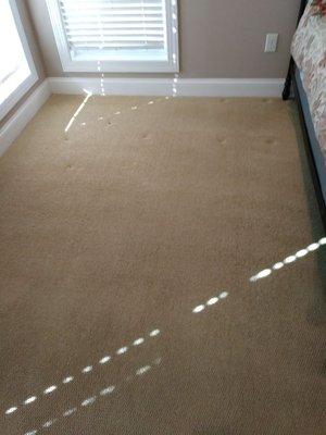 Carpet cleaning at clients home