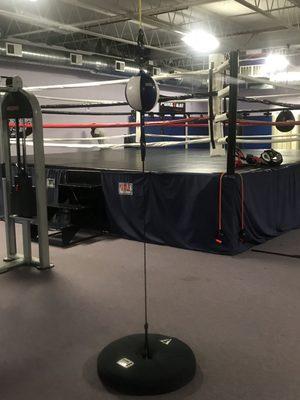 Boxing Ring