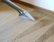 Prestige Carpet Cleaning