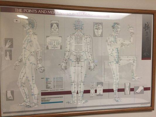 The points and meridians of Accupunture