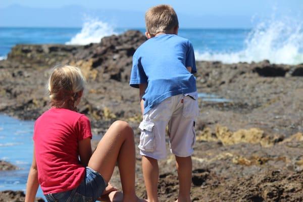 Extended Daycare field trip (Tide pools)