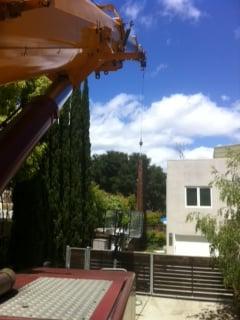 Coastal Redwood removal / take down using 175ton crane Palo Alto, Ca