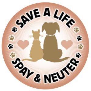 MAY SPECIAL - 20% OFF SPAY! JUNE SPECIAL - 20% OFF NEUTER!