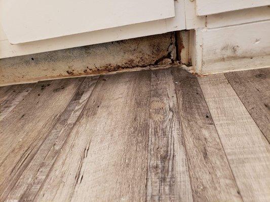 Water damage and mold bathroom cabinets.