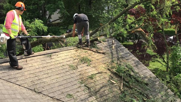 Emergency tree services: Large tree fell on top on roof