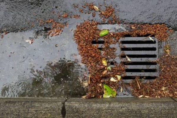 Partially blocked rain water catch basin on area drainage system not allowing water to drain off.