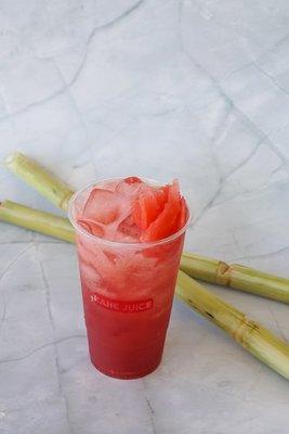 Watermelon Sugarcane