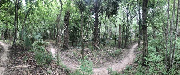 Biking & hiking / walking trail