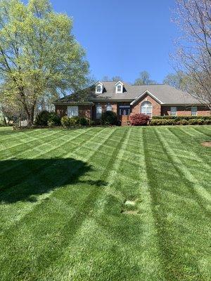 Thick green grass courtesy of our premium turf treatment plan. Grub control is included!