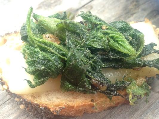 Nettle and goat cheese appetizer