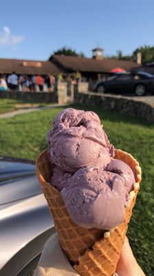 Black raspberry in a waffle cone