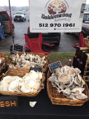 Yum! Blues and White Oysters!!