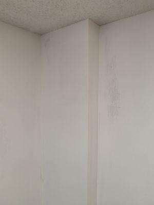 "Finished basement wall". The discolored part was not painted.