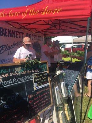 Bennett Orchards had plenty of blueberries!