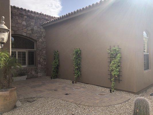 Trellises with uplighting to add character to an otherwise boring wall.