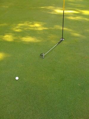 163 yard drive, Par 3 made the birdie