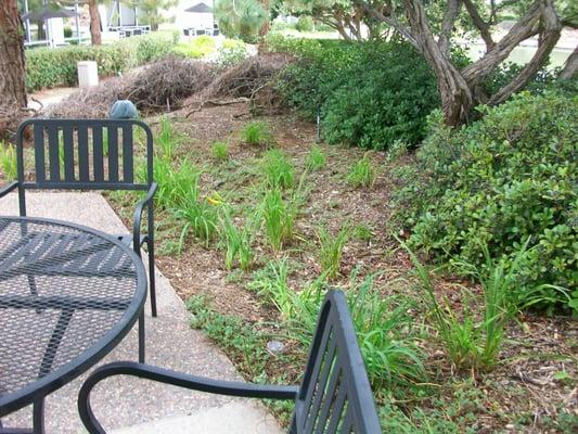 Seating near coffee cart area.