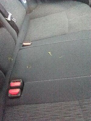 Grass and mud on the seats.