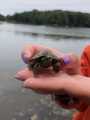 YMCA Camp Sloper