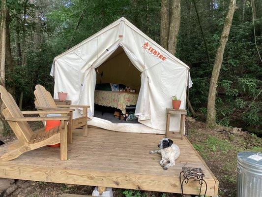 Deck and screened opening. Queen bed