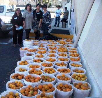 Harvest CROPS