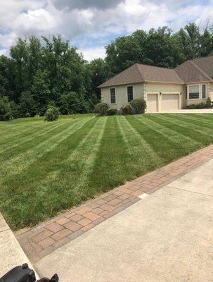 Landscaped lawns with clean up.