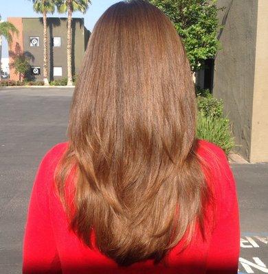 Brazilian blowout, cut and blowdry.