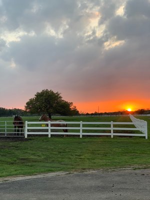 Beautiful sunsets