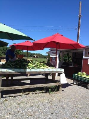 Farm stand