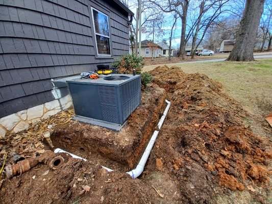 New sewer line installed. Roots were intruding the old cast iron