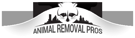 Animal Removal, Animal Control, Wildlife Removal, Racoon Removal, Pest Removal