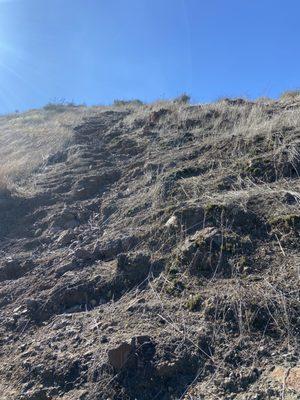 Last climb to the top on the pentachaeta trail.